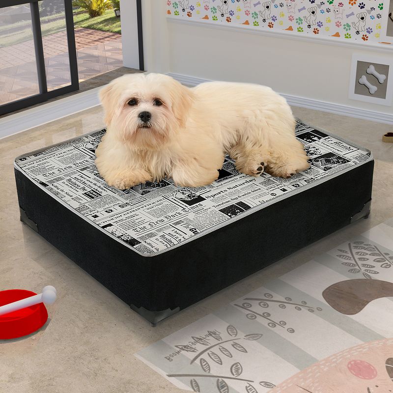 CAMA-BOX-PET--2-